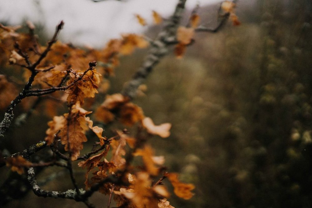 Voyage d'automne - Blog Mariage Madame C Voyage d'automne - Blog Mariage Madame C