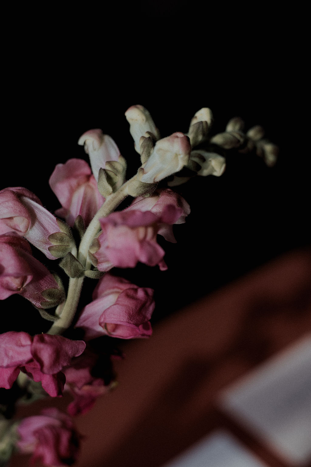 L'heure dorée - Blog Mariage Madame C L'heure dorée - Blog Mariage Madame C