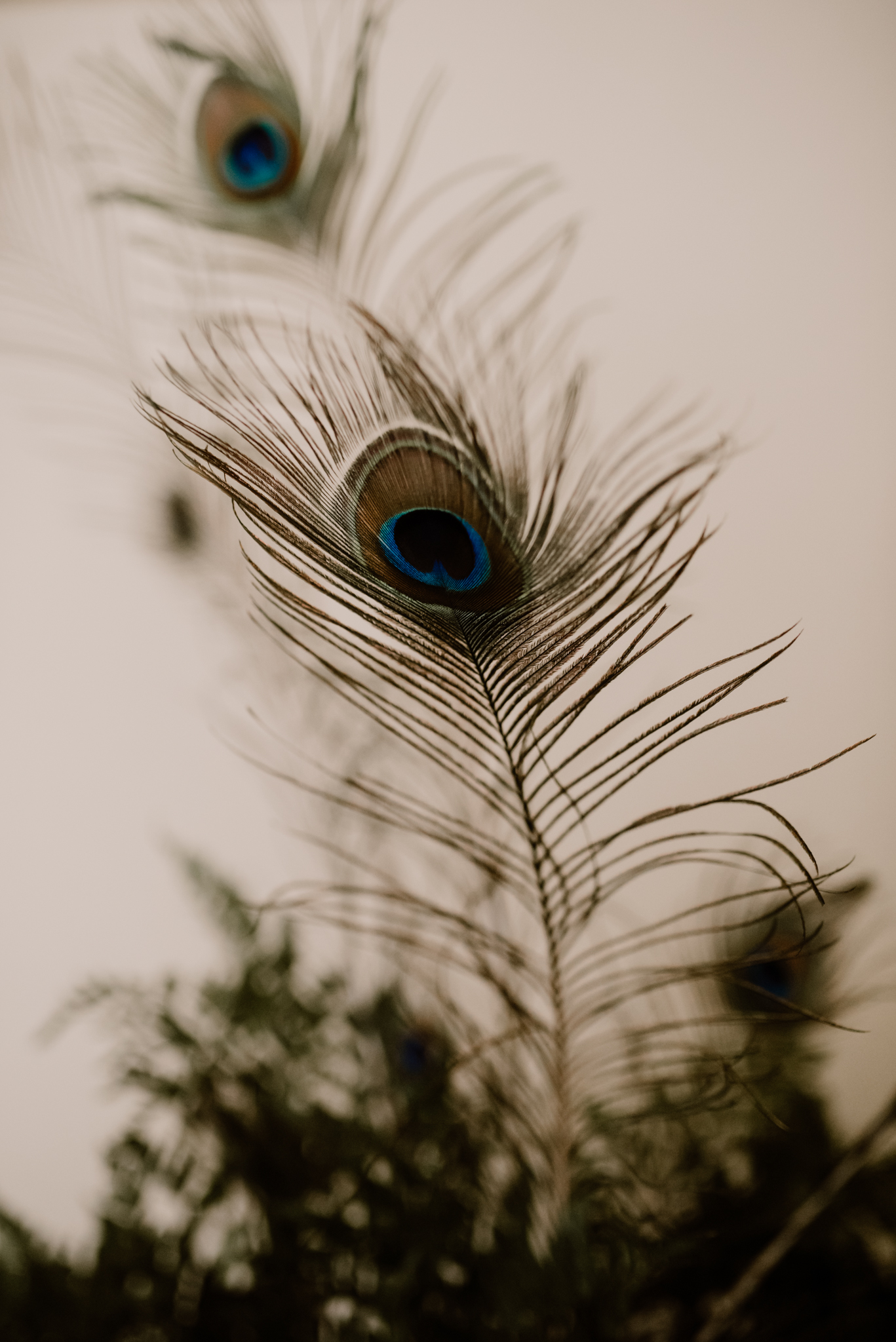 Mariage à l'Abbaye de Bonport - Marie + Geoffroy - Blog Mariage Madame C