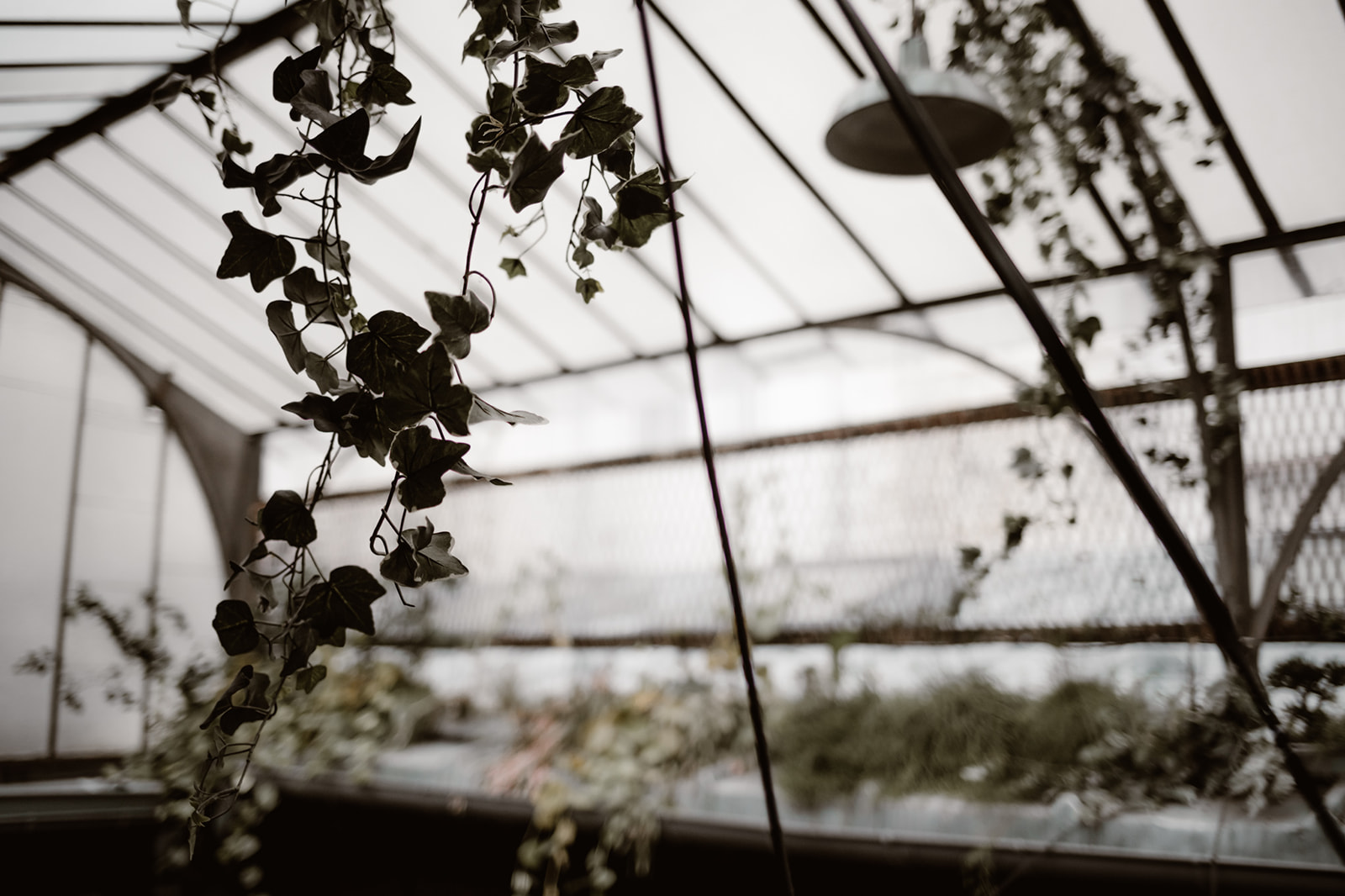 Union is powerful - Blog Mariage Madame C