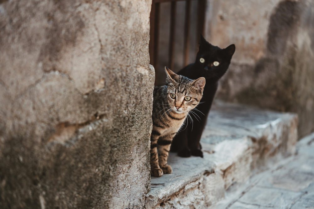 Rendez-vous en Côte Amalfitaine - Sandra + Francesco - Blog Mariage Madame C