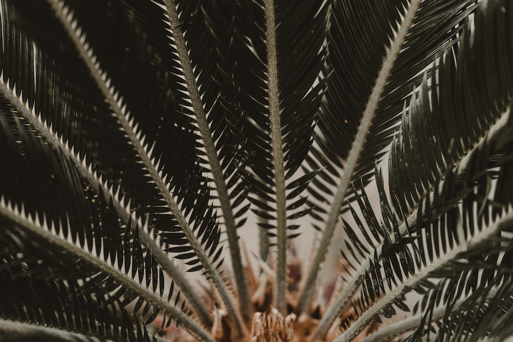 Rendez-vous en Côte Amalfitaine - Sandra + Francesco - Blog Mariage Madame C