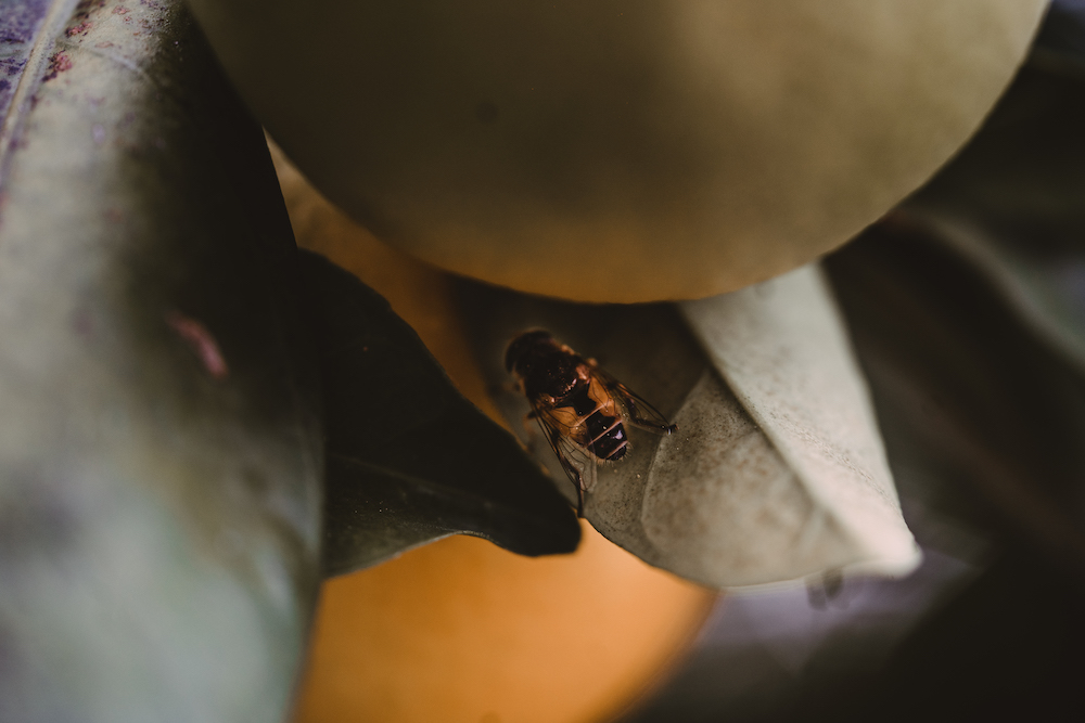 Rendez-vous en Côte Amalfitaine - Sandra + Francesco - Blog Mariage Madame C