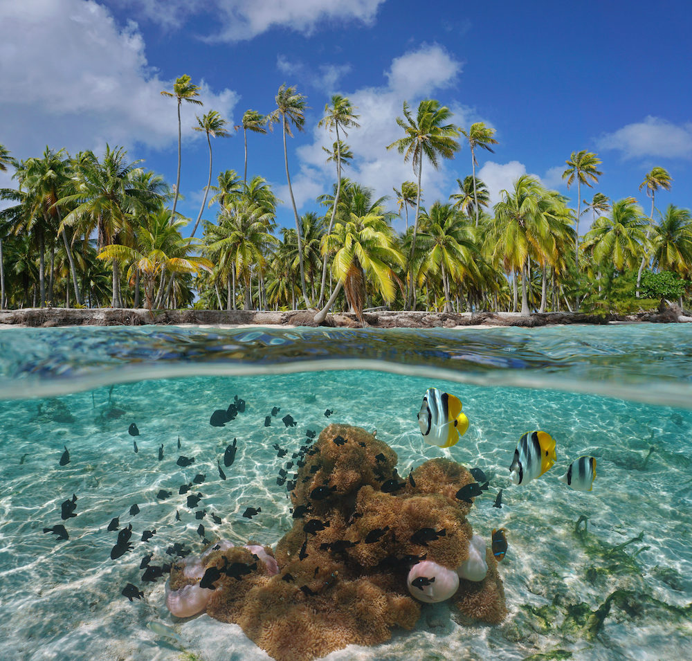 Voyage de Noces en Polynésie Française - Blog Mariage Madame C
