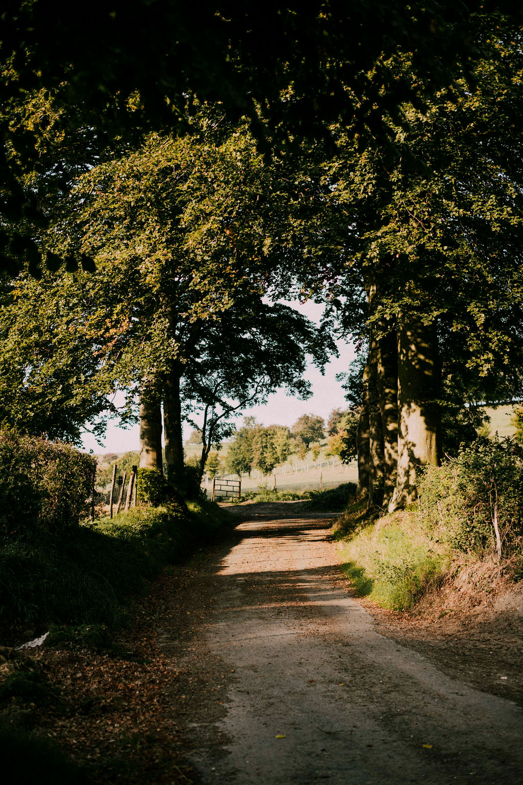 Mariage à la ferme des oiseaux -Ophélie + Simon - Blog Mariage Madame C Mariage à la ferme des oiseaux -Ophélie + Simon - Blog Mariage Madame C