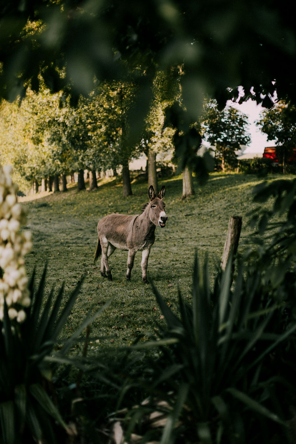 Mariage à la ferme des oiseaux -Ophélie + Simon - Blog Mariage Madame C Mariage à la ferme des oiseaux -Ophélie + Simon - Blog Mariage Madame C