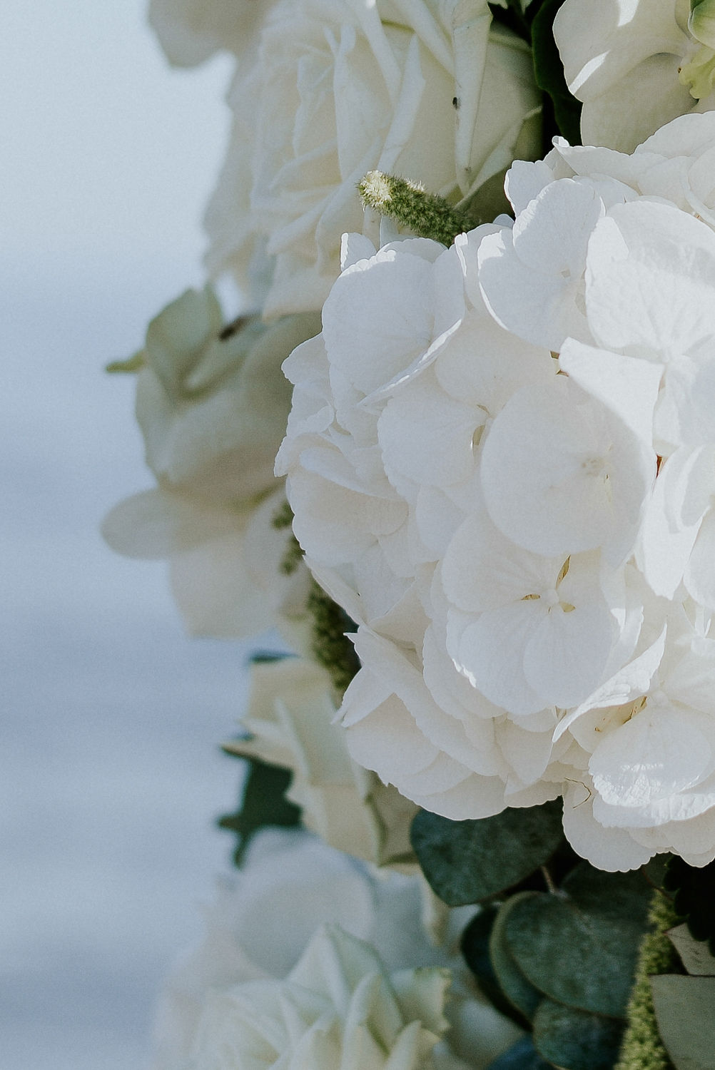 Terre d'eau - Blog Mariage Madame C