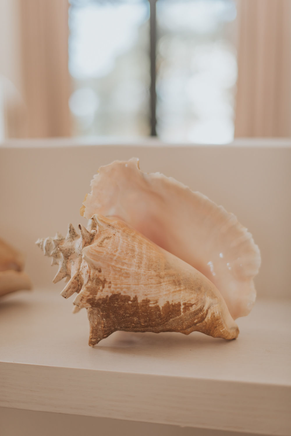 Renouvellement de voeux à Sète - Blog Mariage Madame C Renouvellement de voeux à Sète - Blog Mariage Madame C