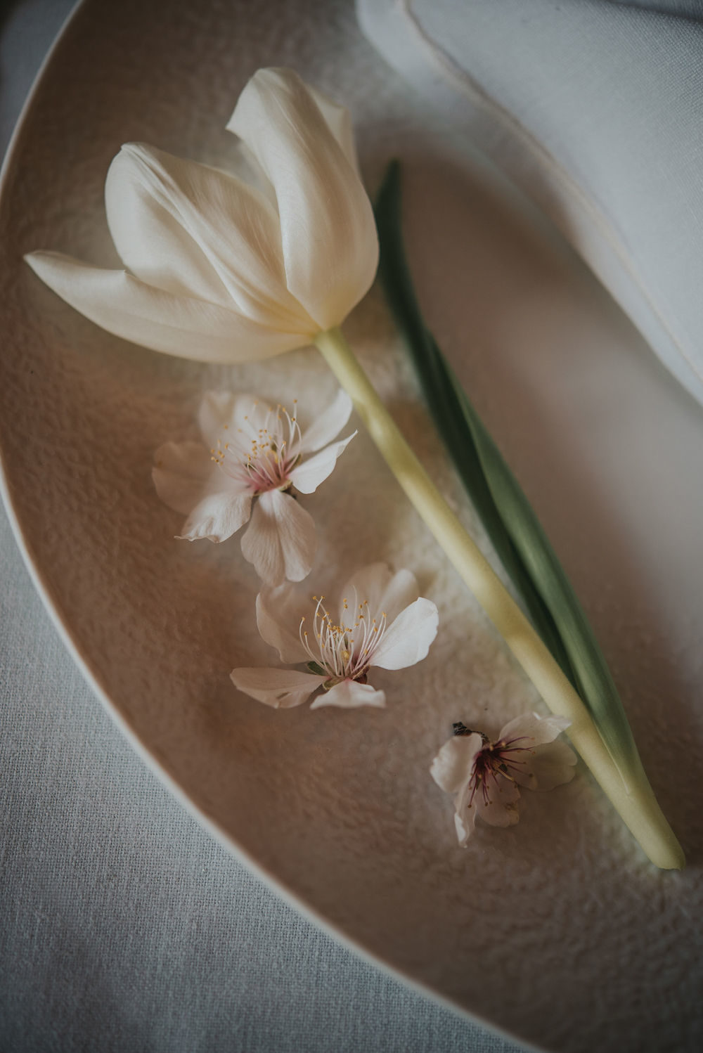 Renouvellement de voeux à Sète - Blog Mariage Madame C Renouvellement de voeux à Sète - Blog Mariage Madame C