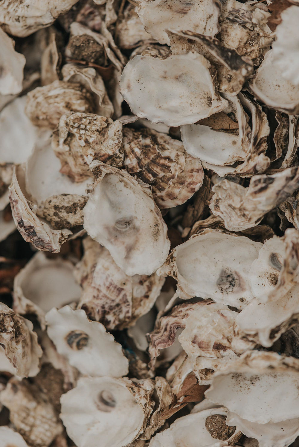 Renouvellement de voeux à Sète - Blog Mariage Madame C Renouvellement de voeux à Sète - Blog Mariage Madame C