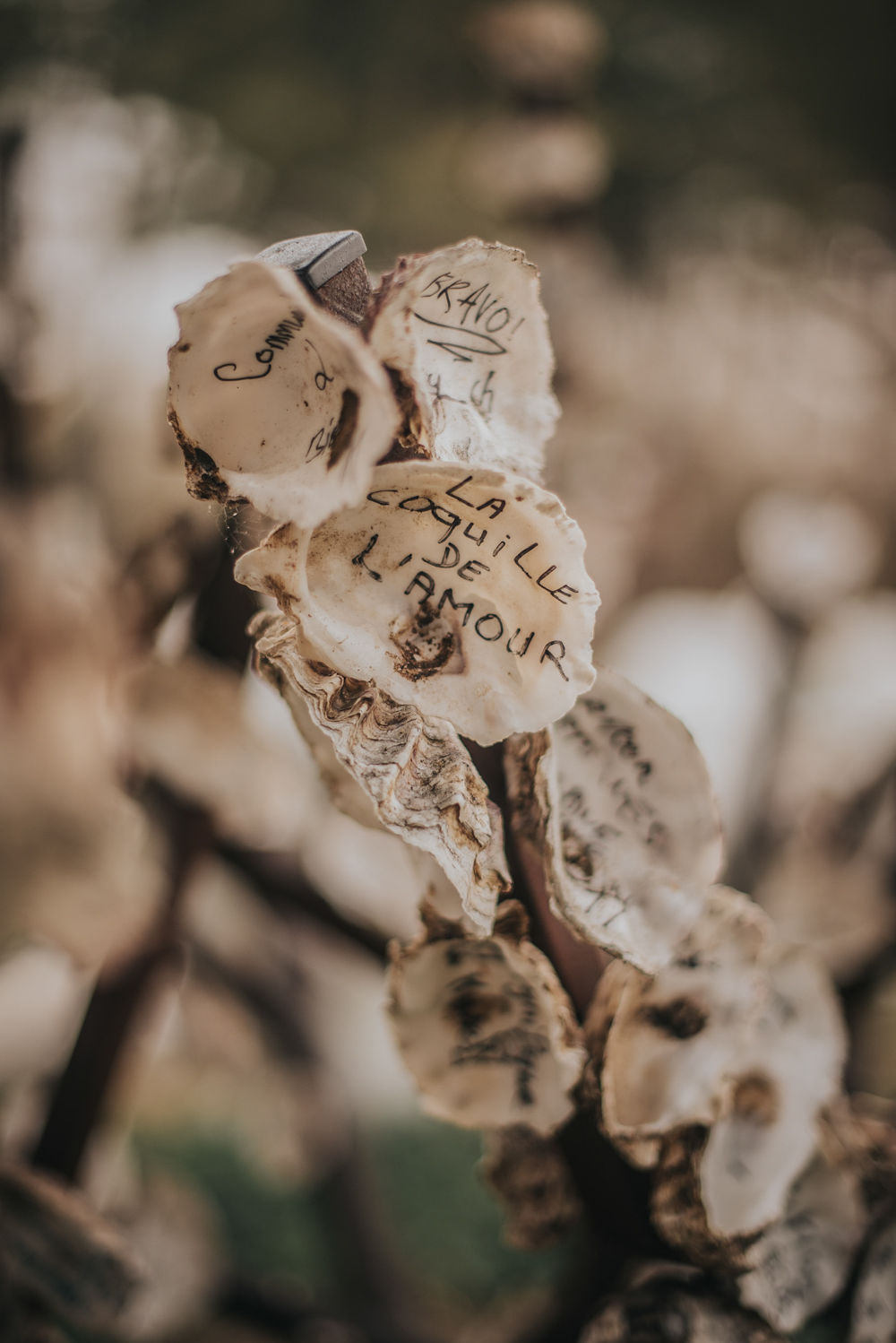 Renouvellement de voeux à Sète - Blog Mariage Madame C Renouvellement de voeux à Sète - Blog Mariage Madame C