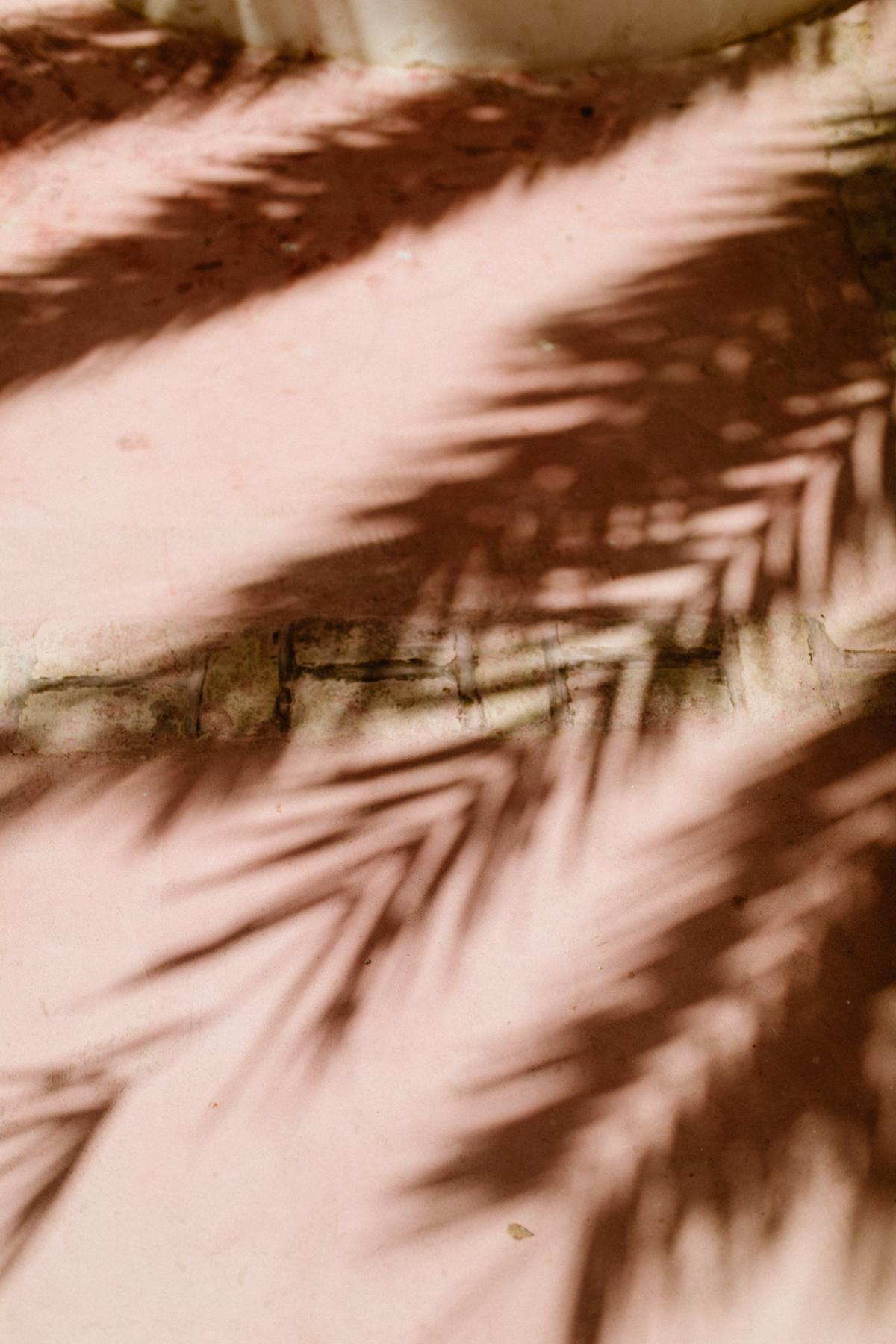 Comment publier son travail sur un blogzine du mariage ? - Blog Mariage Madame C