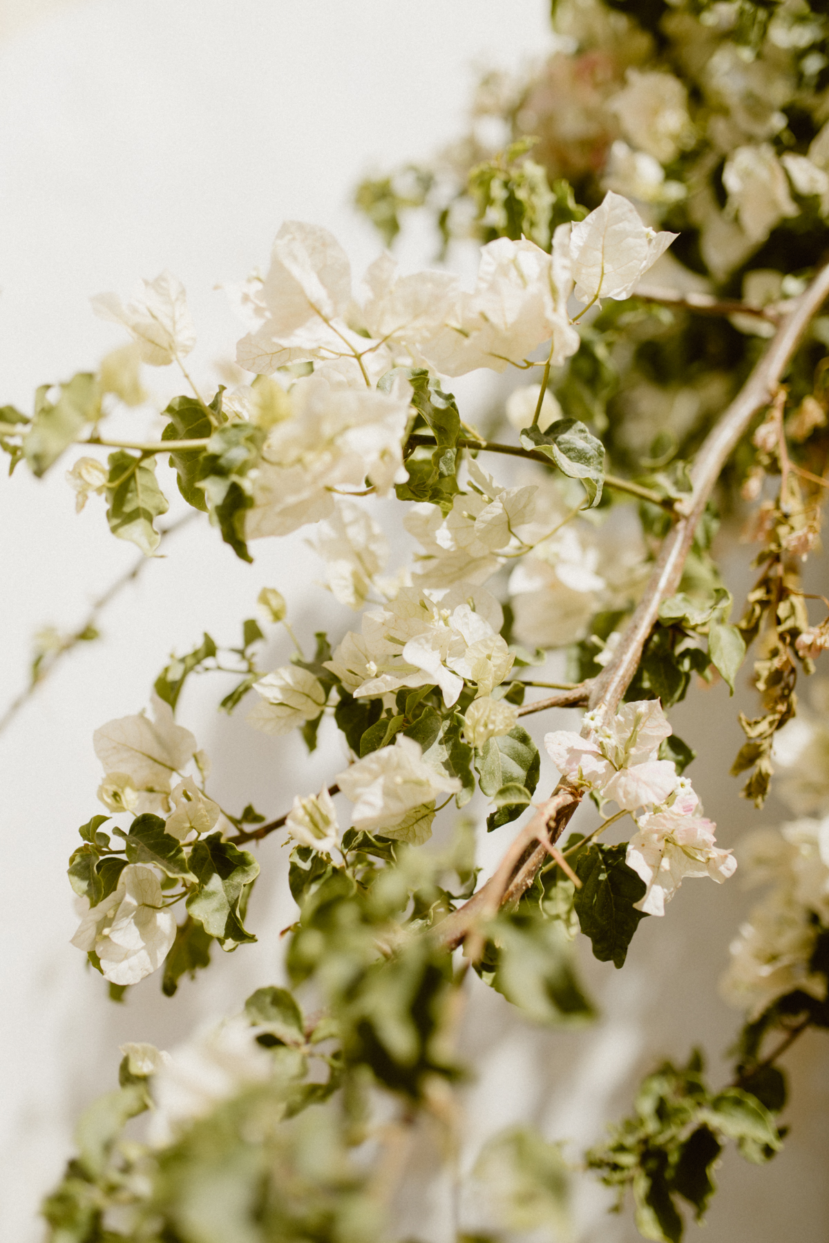 Comment publier son travail sur un blogzine du mariage ? - Blog Mariage Madame C