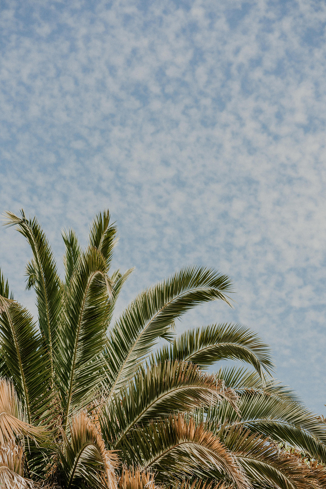 L'atelier Wedding : Le festival du mariage à Nantes - Blog Mariage Madame C