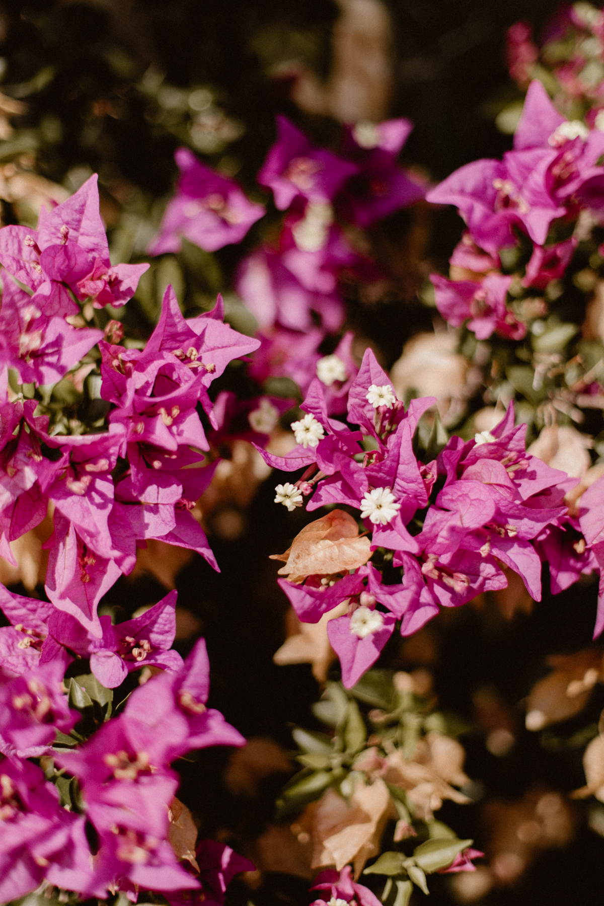 Un mariage en Corse au Rocher - Audrey + Benjamin - Blog Mariage Madame C