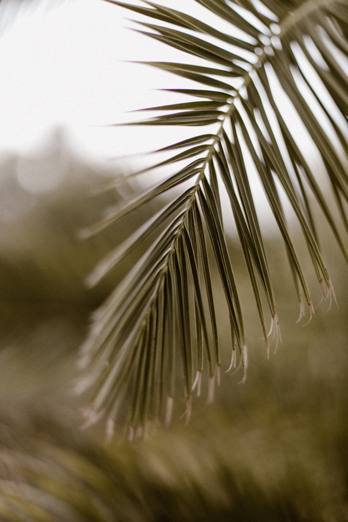 Un mariage en Corse au Rocher - Audrey + Benjamin - Blog Mariage Madame C