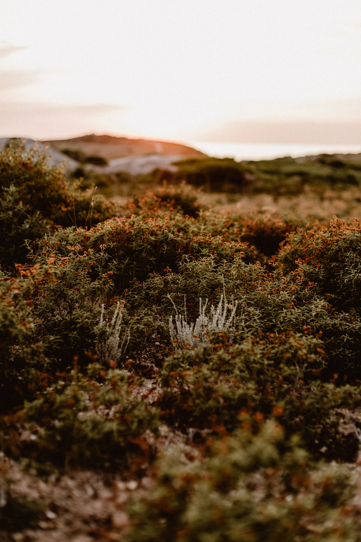Un mariage en Corse au Rocher - Audrey + Benjamin - Blog Mariage Madame C