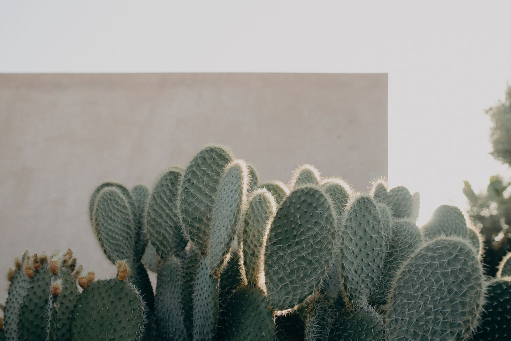 Manager of myself 2019 - Marrakech - Blog Mariage Madame C