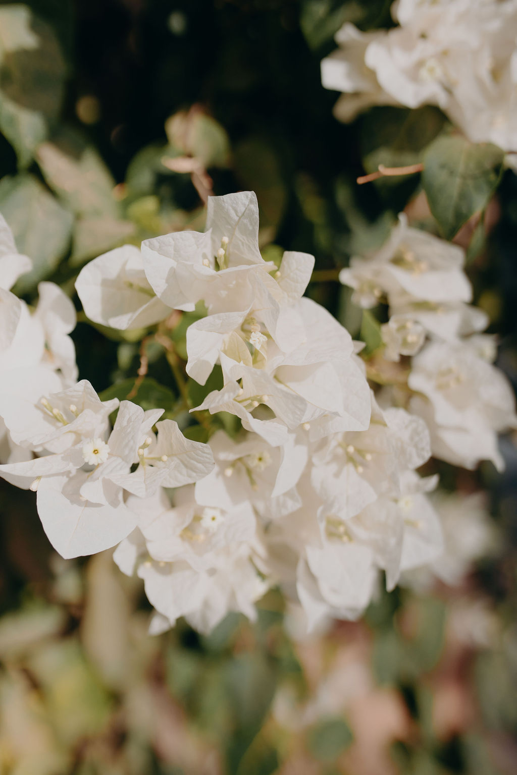 Manager of myself 2019 - Marrakech - Blog Mariage Madame C