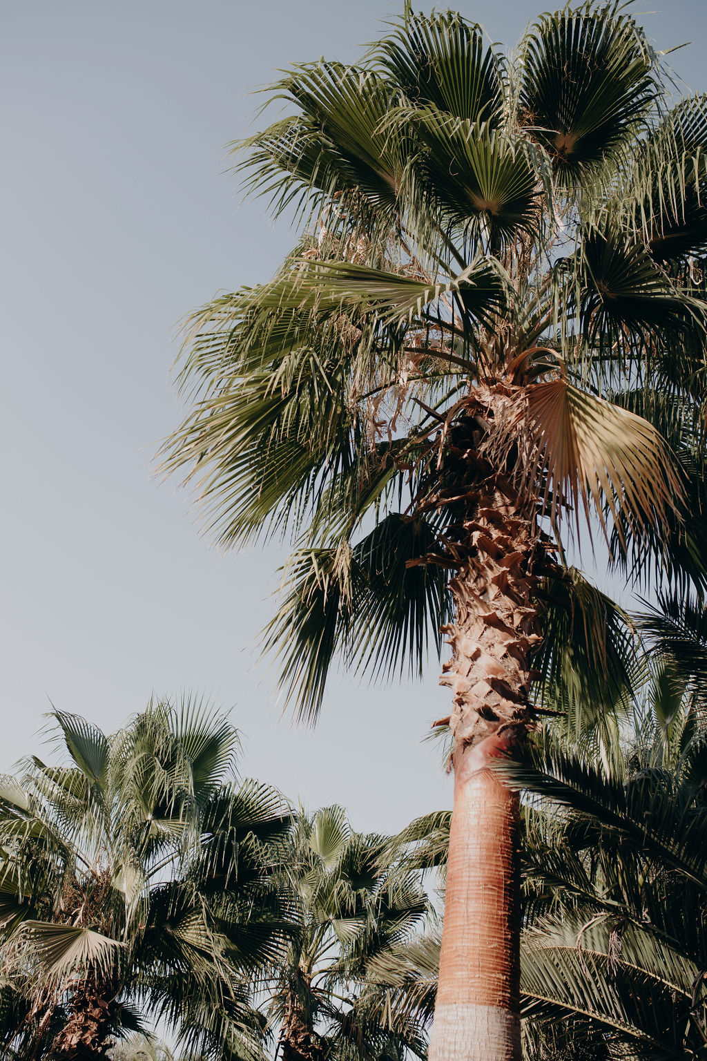 Manager of myself 2019 - Marrakech - Blog Mariage Madame C