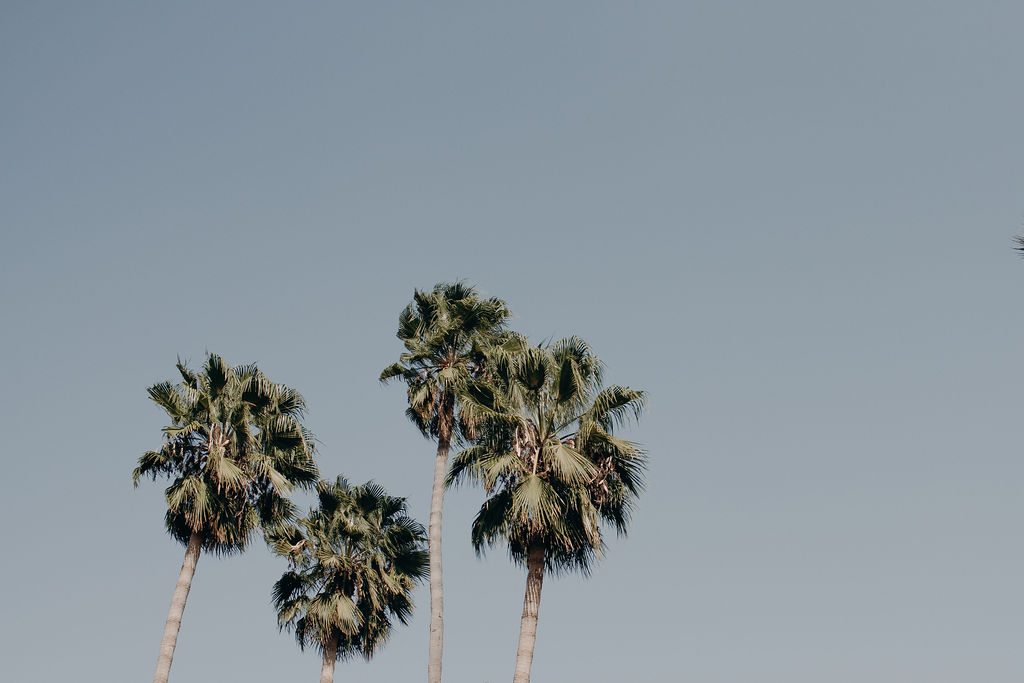 Manager of myself 2019 - Marrakech - Blog Mariage Madame C