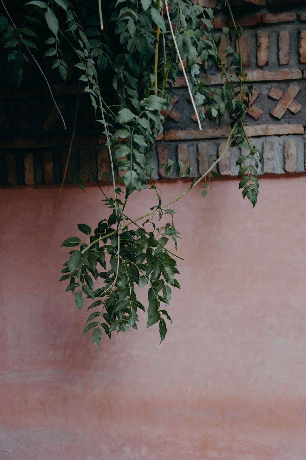 Manager of myself 2019 - Marrakech - Blog Mariage Madame C