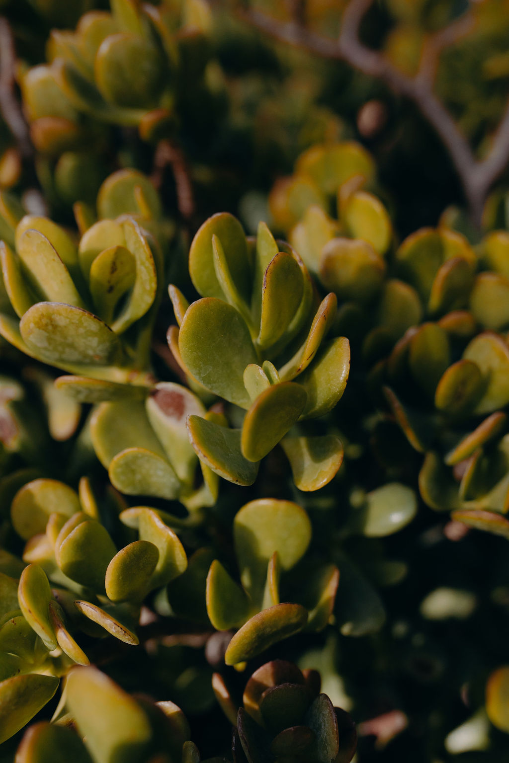 Manager of myself 2019 - Marrakech - Blog Mariage Madame C