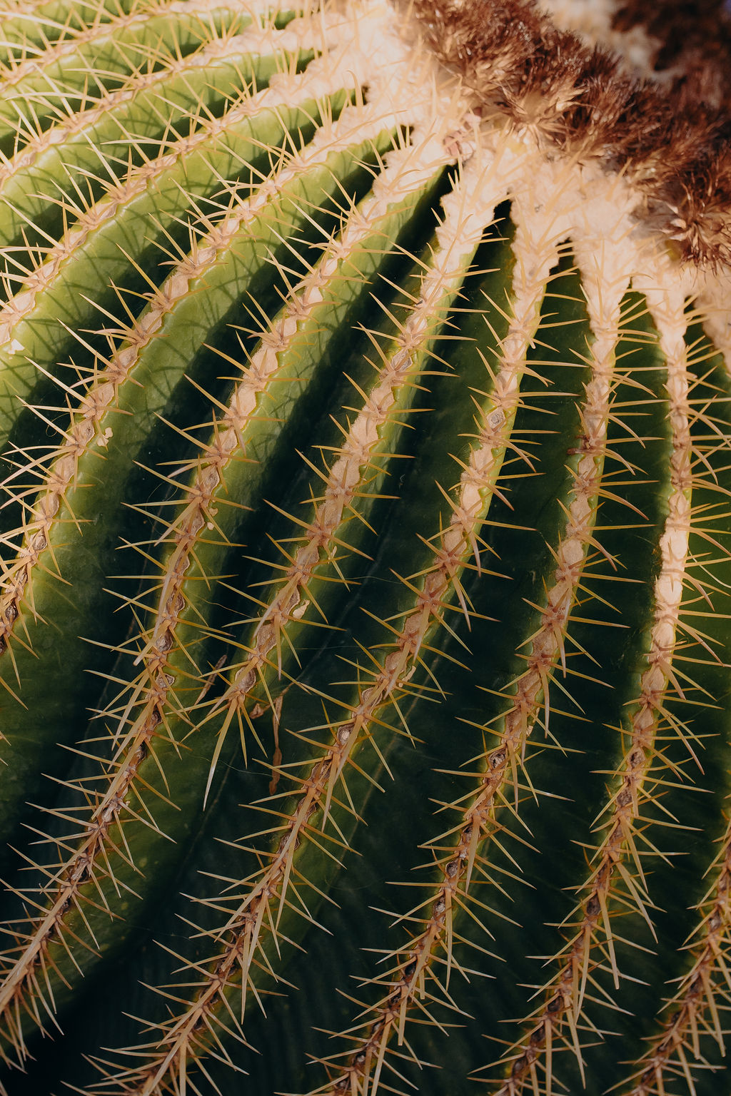 Manager of myself 2019 - Marrakech - Blog Mariage Madame C