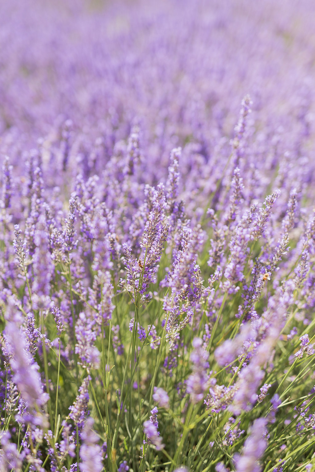 Mariage au Domaine de Sarson - Nelly + Guillaume - Blog Mariage Madame C Mariage au Domaine de Sarson - Nelly + Guillaume - Blog Mariage Madame C