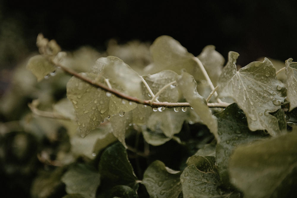 Mariage simple au Pays Basque - Lorène et Geoffrey - Blog Mariage Madame C