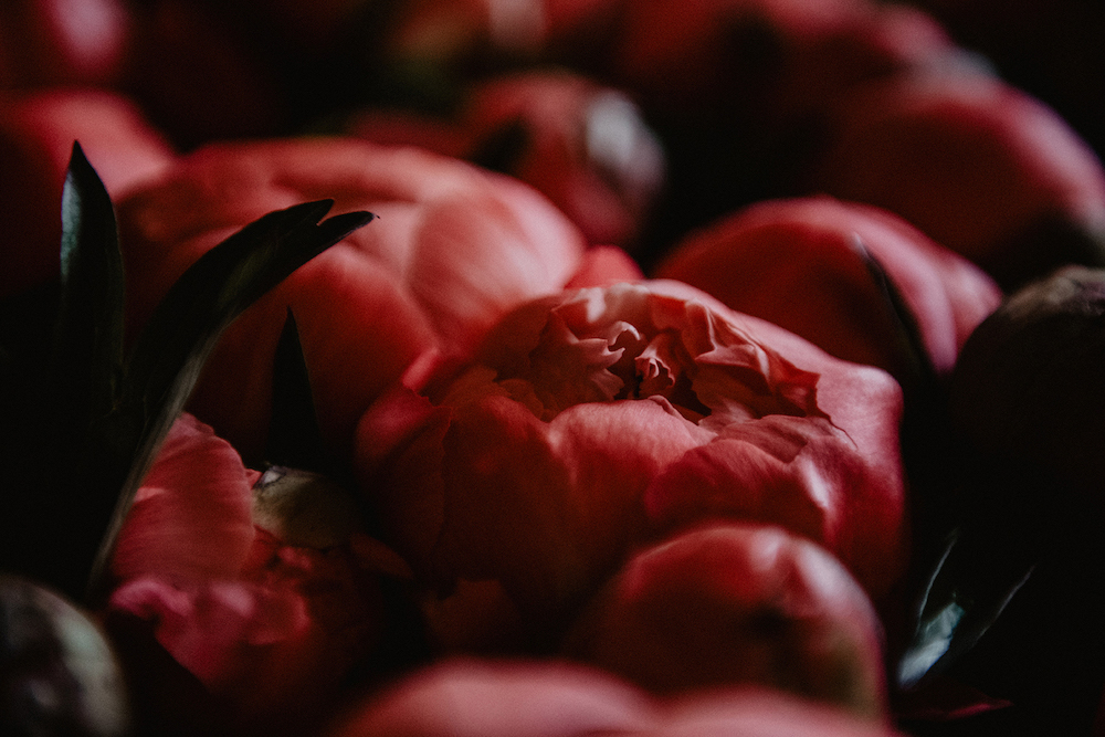 Mariage simple au Pays Basque - Lorène et Geoffrey - Blog Mariage Madame C
