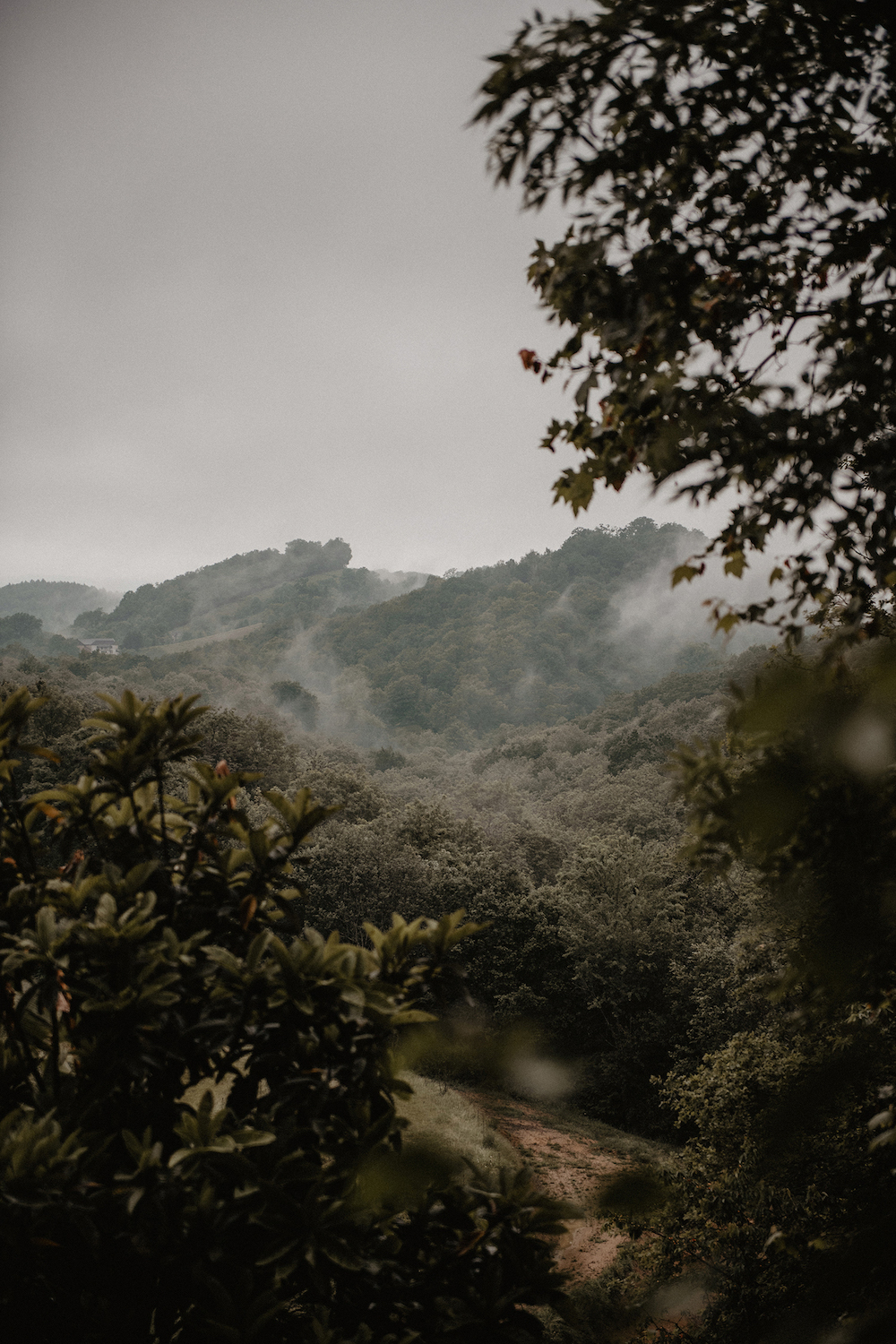 Mariage simple au Pays Basque - Lorène et Geoffrey - Blog Mariage Madame C