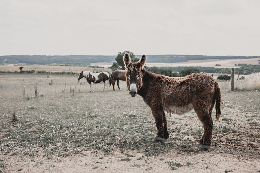 Mariage industriel aux Bonnes Joies - Lisa + Guillaume - Blog Mariage Madame C
