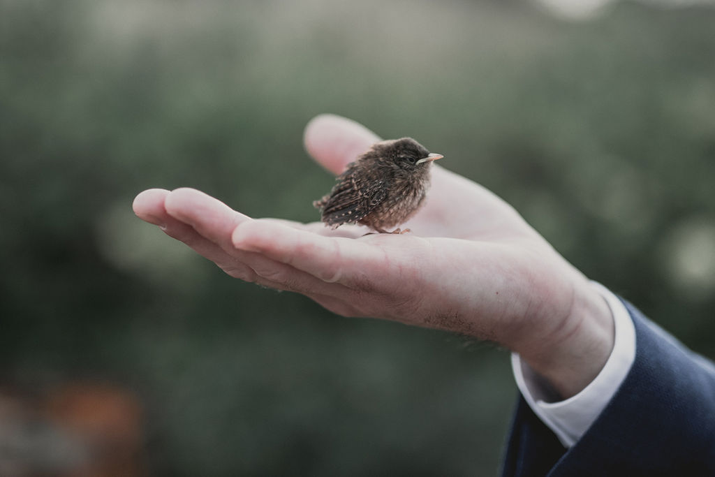 Mariage industriel aux Bonnes Joies - Lisa + Guillaume - Blog Mariage Madame C