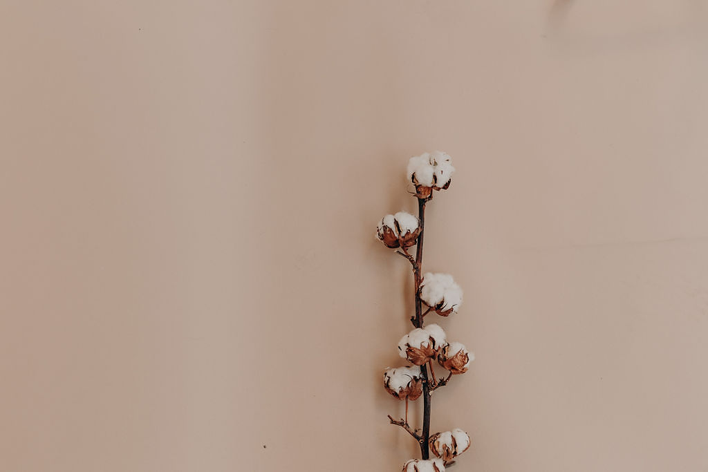 Caroline Quesnel Collection 2020 - Robes de mariée - Blog Mariage Madame C Caroline Quesnel Collection 2020 - Robes de mariée - Blog Mariage Madame C