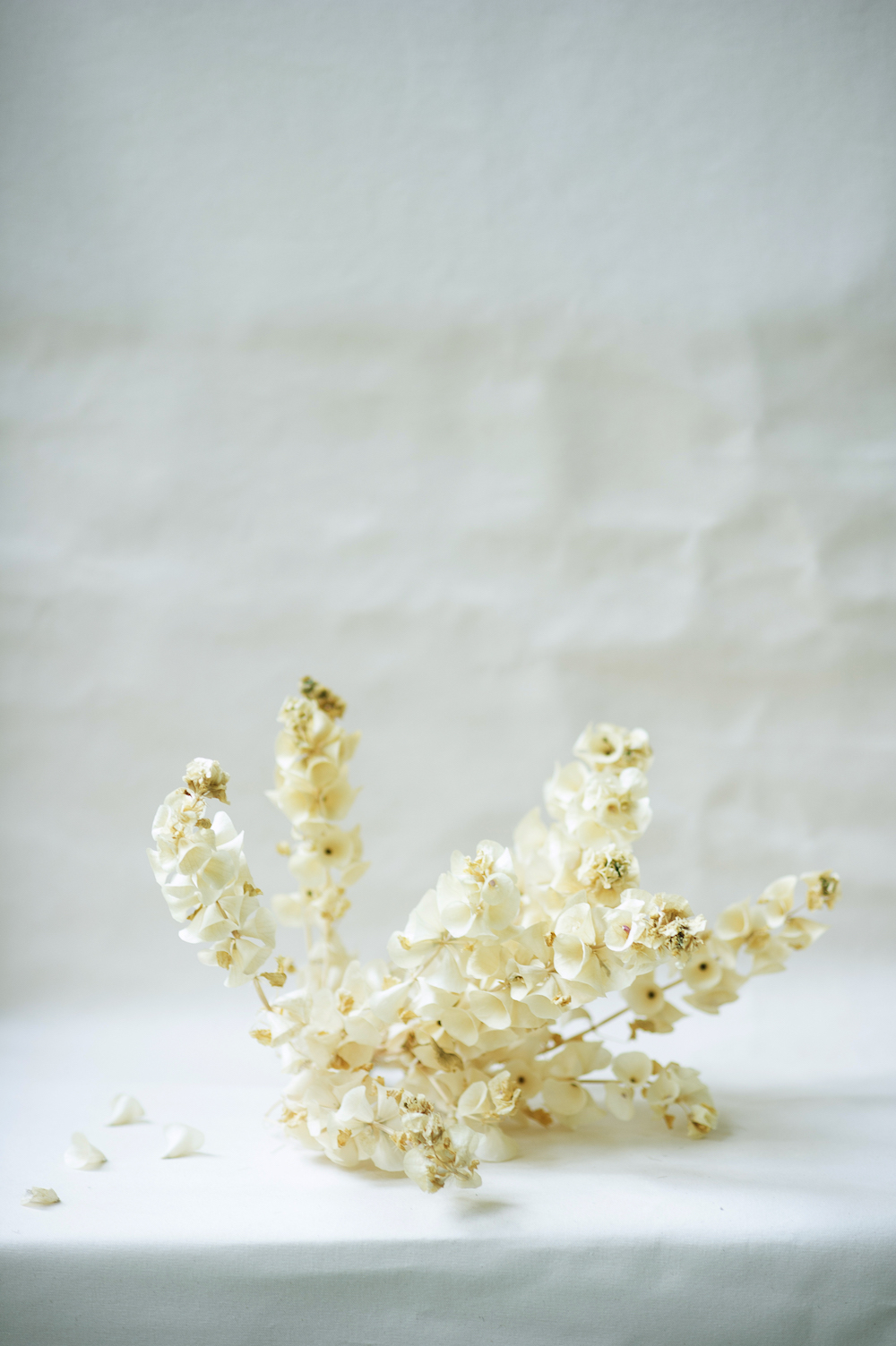 The Exception / Wedding Spirit - Blog Mariage Madame C The Exception / Wedding Spirit - Blog Mariage Madame C