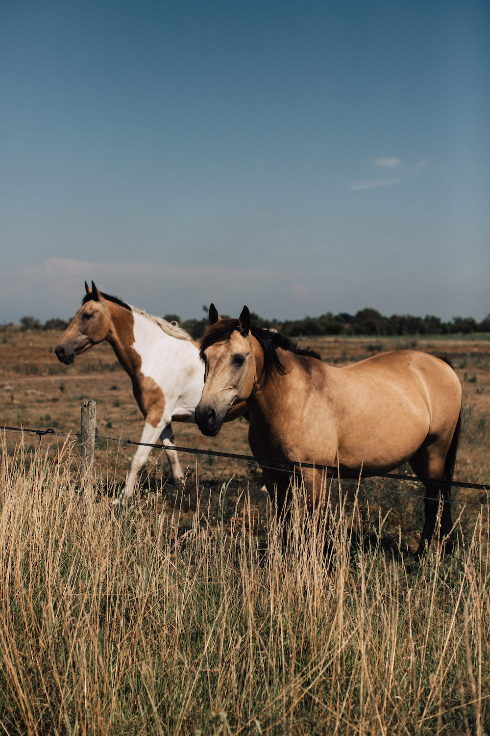 EVJF sur l'île de Ré - Candice - Blog Mariage Madame C