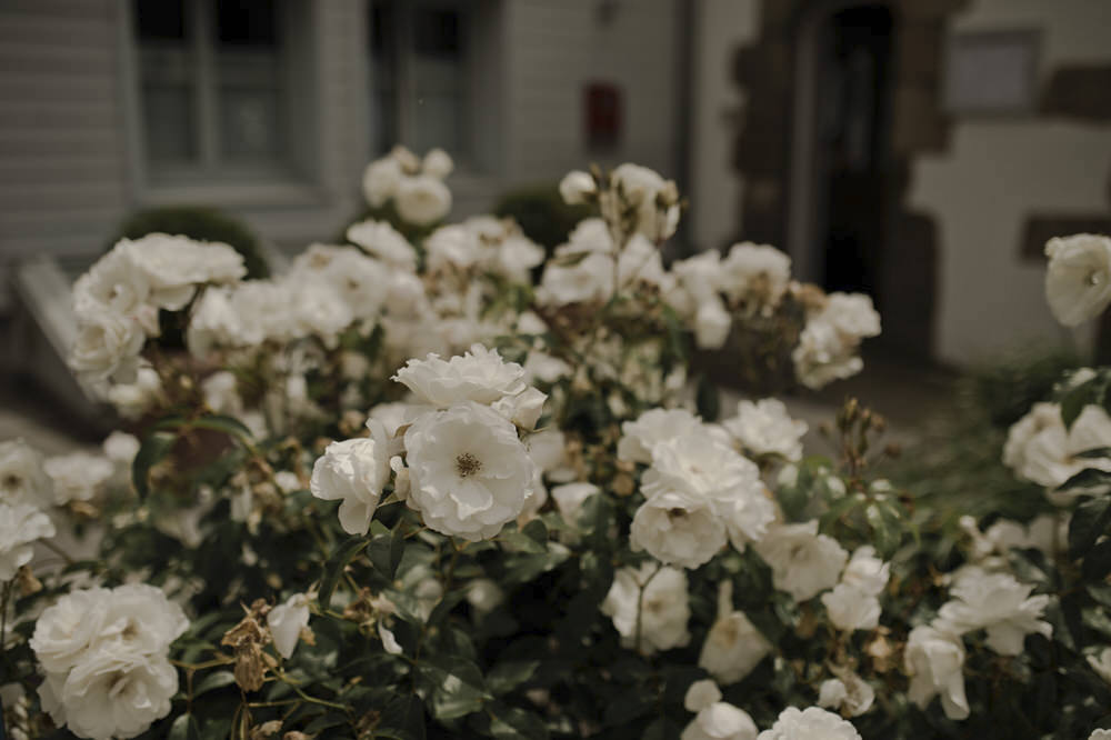 Un mariage en Bretagne - Marie + Eymeric - Blog Mariage Madame C Un mariage en Bretagne - Marie + Eymeric - Blog Mariage Madame C