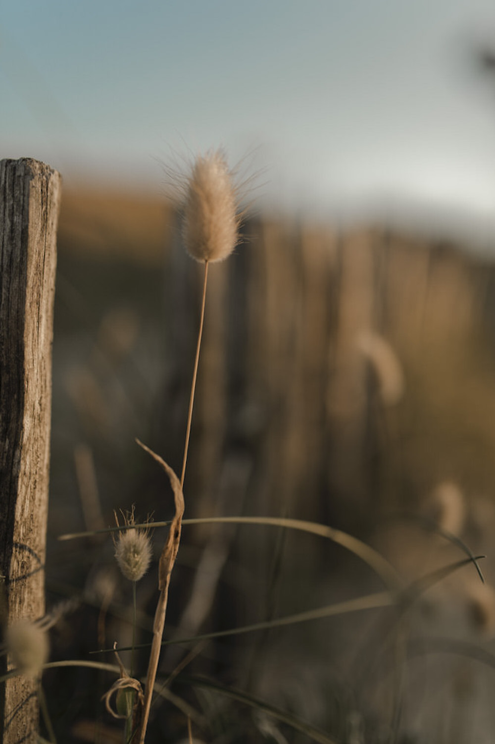 Un mariage en Bretagne - Marie + Eymeric - Blog Mariage Madame C Un mariage en Bretagne - Marie + Eymeric - Blog Mariage Madame C