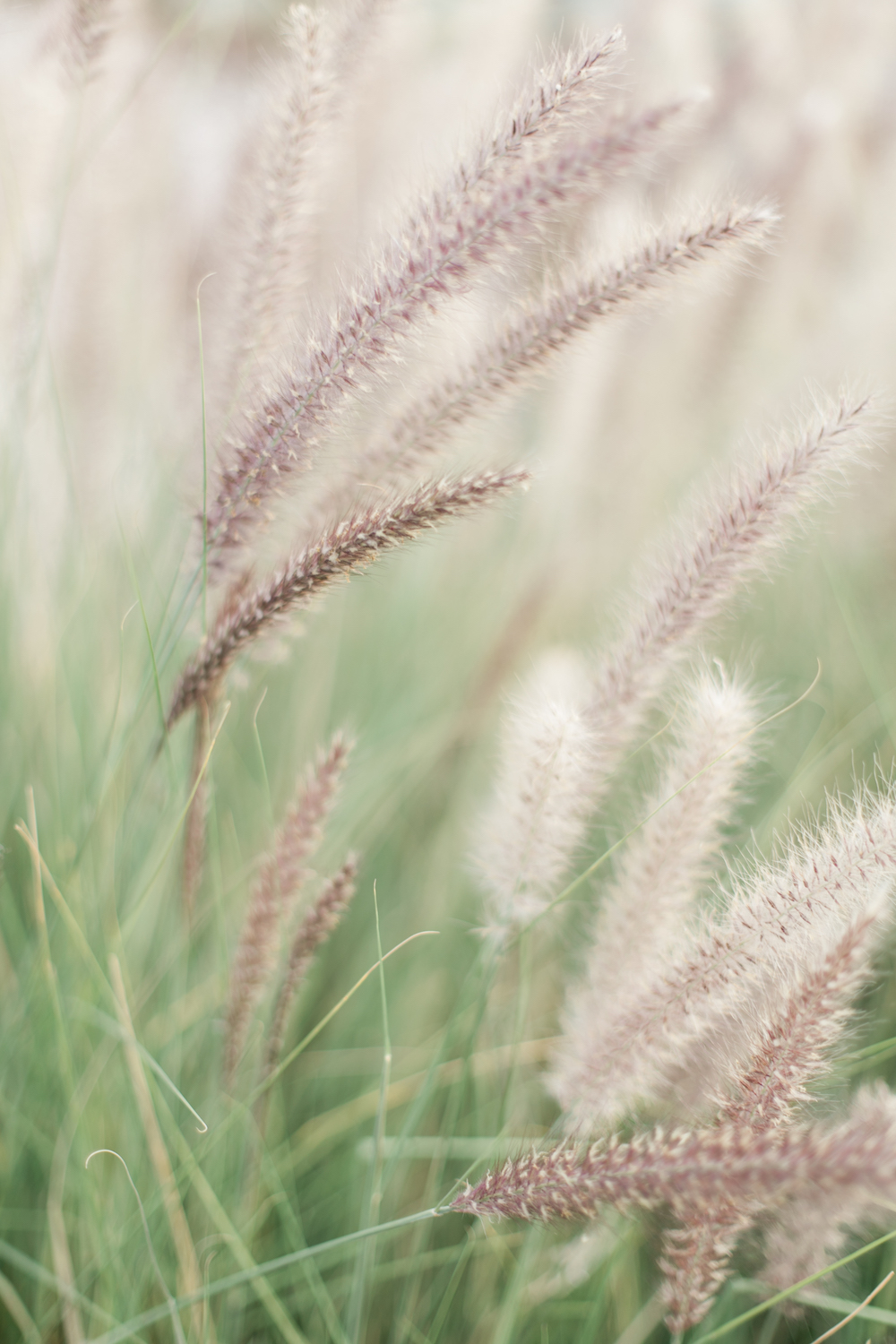 Un mariage à Marrakech - Laetitia + Frédéric - Blog Mariage Madame C