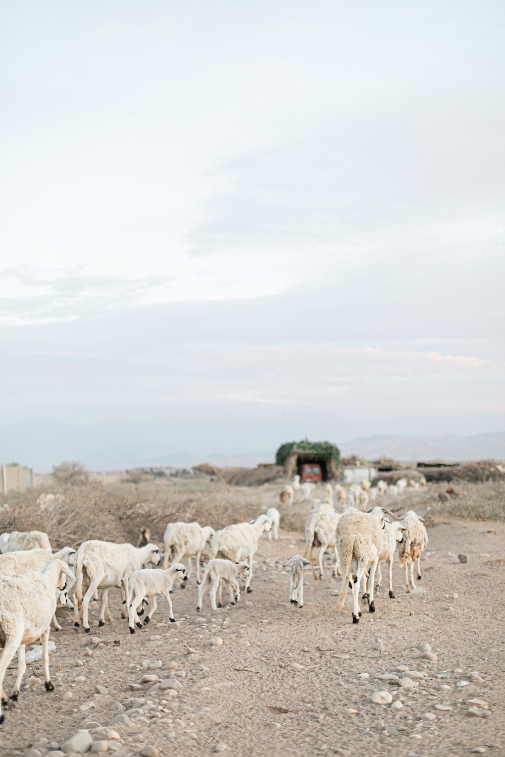 Un mariage à Marrakech - Laetitia + Frédéric - Blog Mariage Madame C