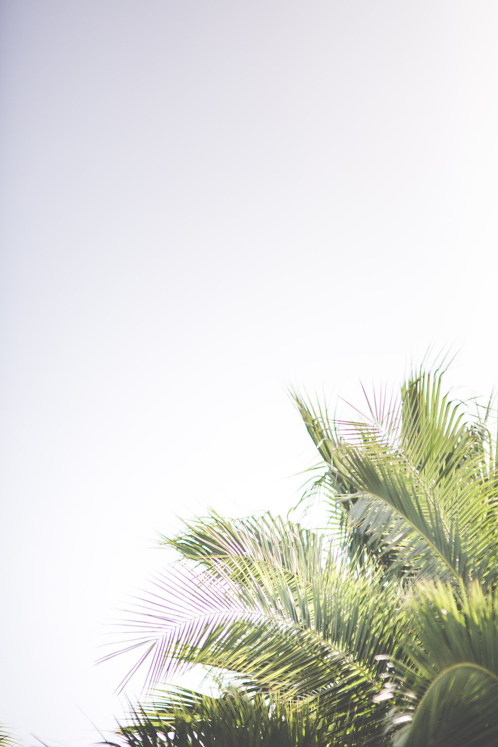 New-York > Paris > Marrakech - Myriam + Samir - Blog Mariage Madame C New-York > Paris > Marrakech - Myriam + Samir - Blog Mariage Madame C