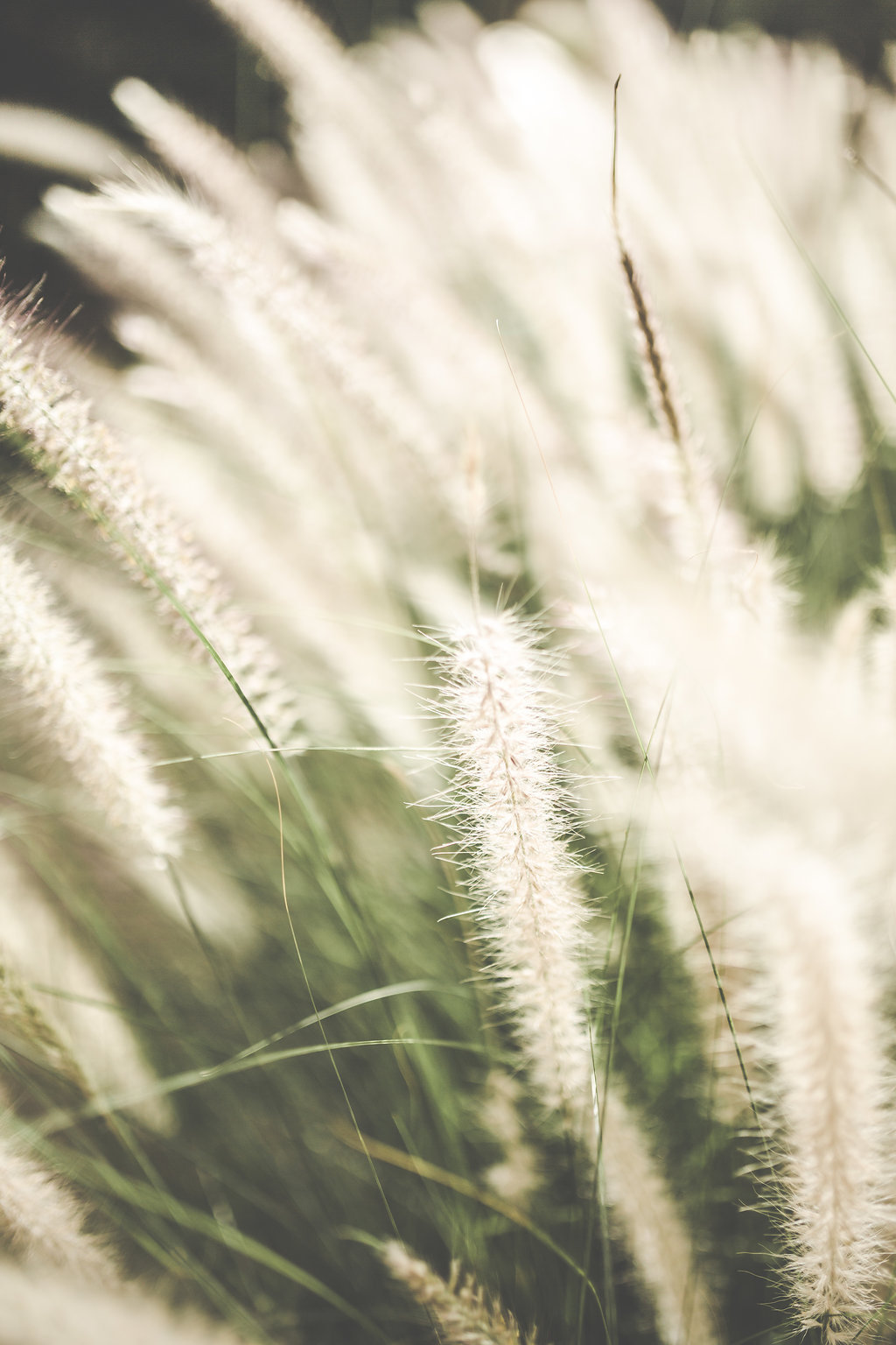 New-York > Paris > Marrakech - Myriam + Samir - Blog Mariage Madame C New-York > Paris > Marrakech - Myriam + Samir - Blog Mariage Madame C