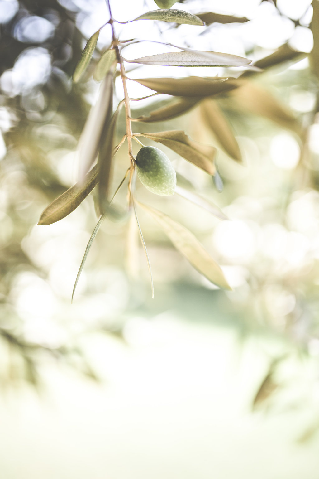 New-York > Paris > Marrakech - Myriam + Samir - Blog Mariage Madame C New-York > Paris > Marrakech - Myriam + Samir - Blog Mariage Madame C