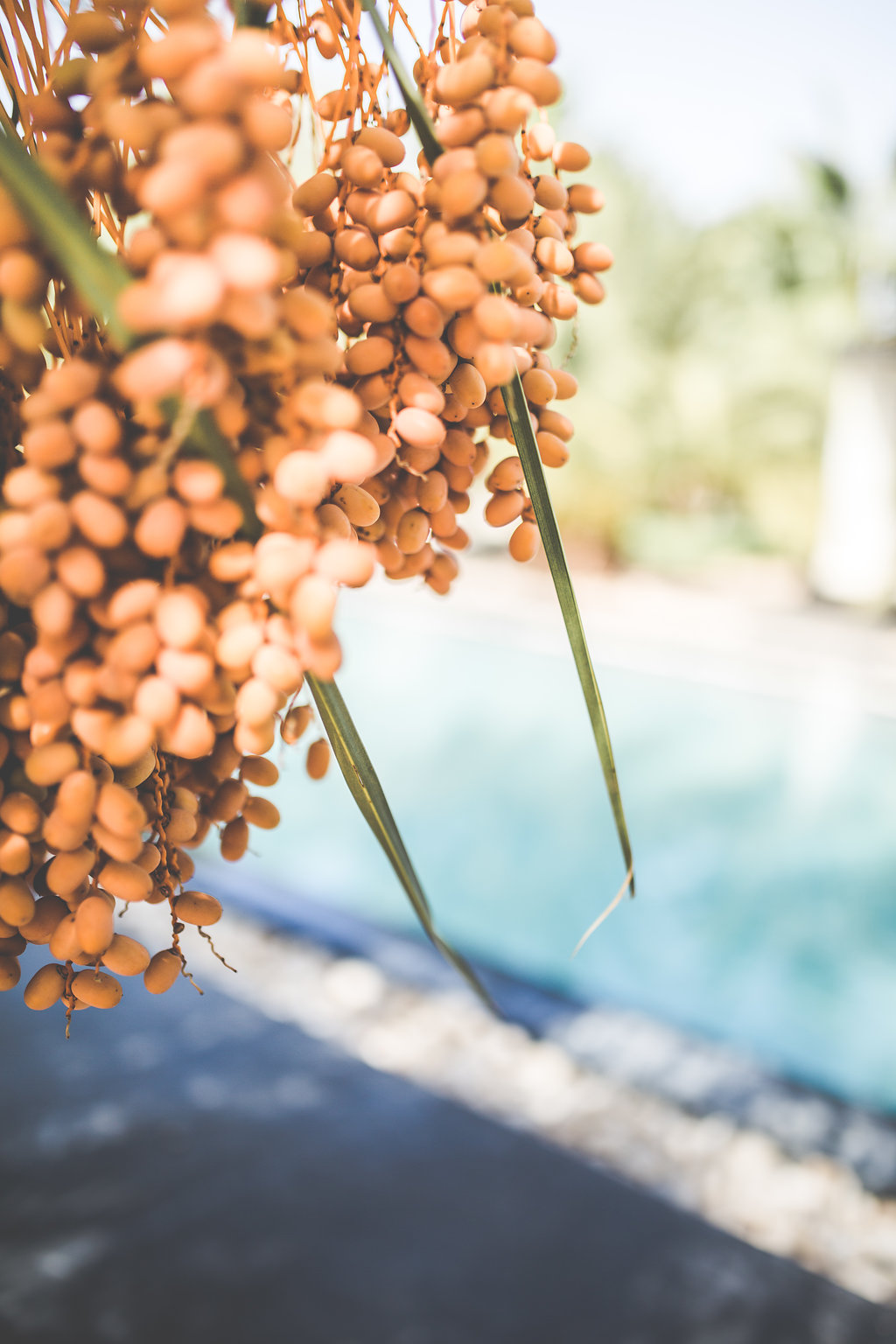 New-York > Paris > Marrakech - Myriam + Samir - Blog Mariage Madame C New-York > Paris > Marrakech - Myriam + Samir - Blog Mariage Madame C