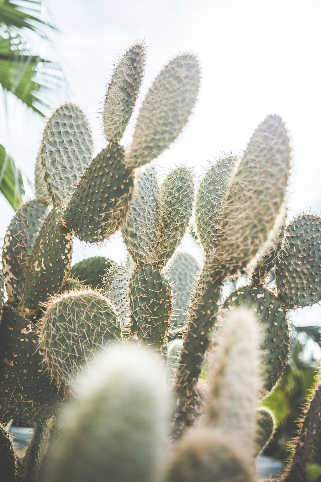 New-York > Paris > Marrakech - Myriam + Samir - Blog Mariage Madame C New-York > Paris > Marrakech - Myriam + Samir - Blog Mariage Madame C