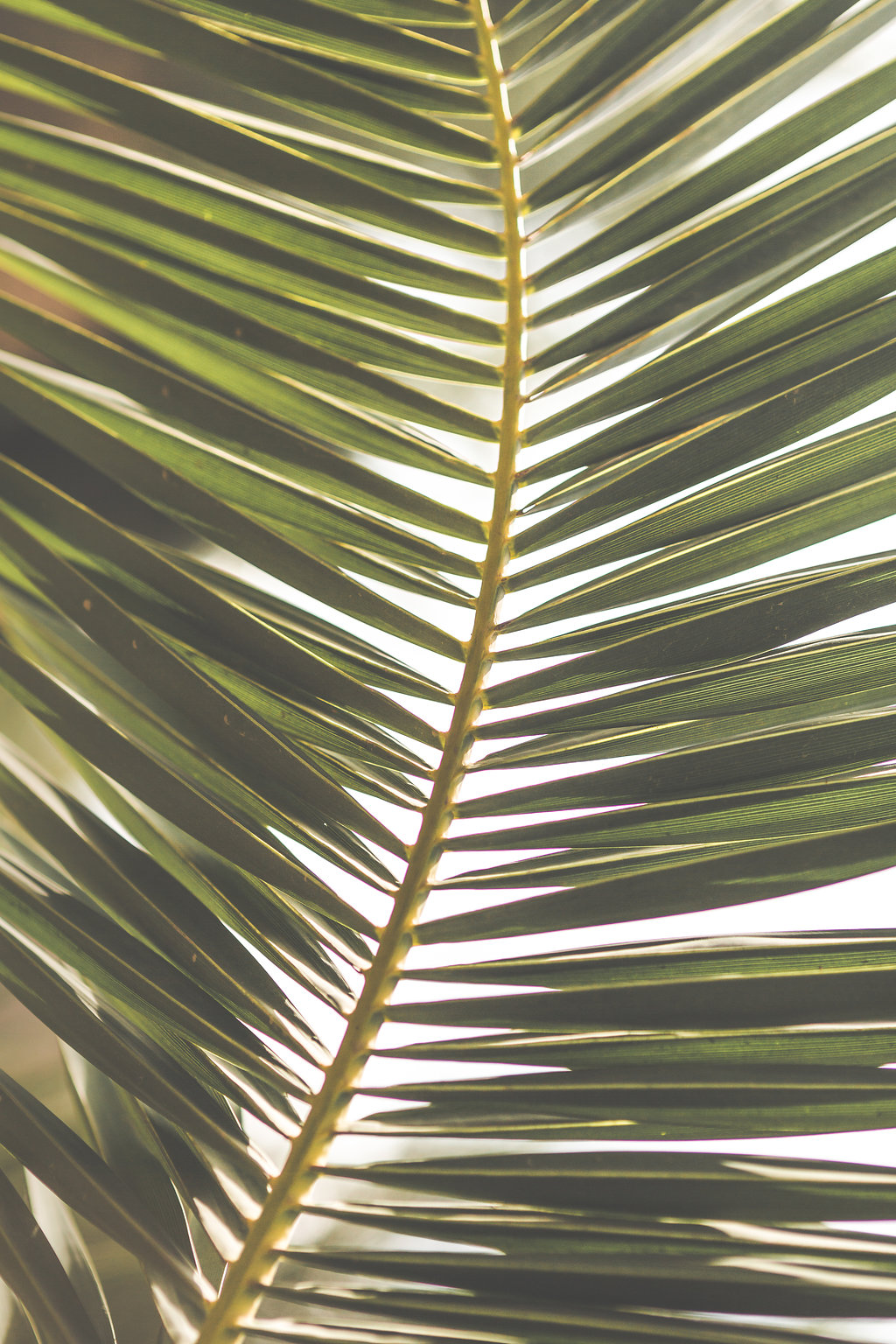 Villa Taj Marrakech - Blog Mariage Madame C