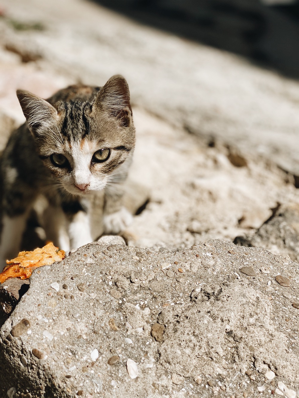 Destination la riviera marocaine - Blog Mariage Madame C Destination la riviera marocaine - Blog Mariage Madame C