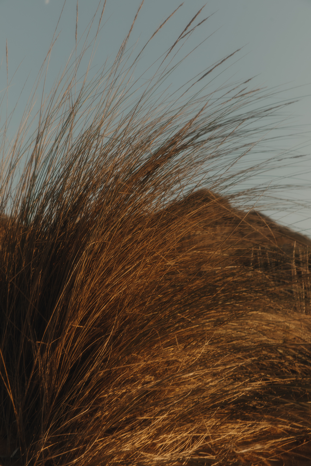 Sessùn Oui 2020 - Robes de mariée - Blog Mariage Madame C