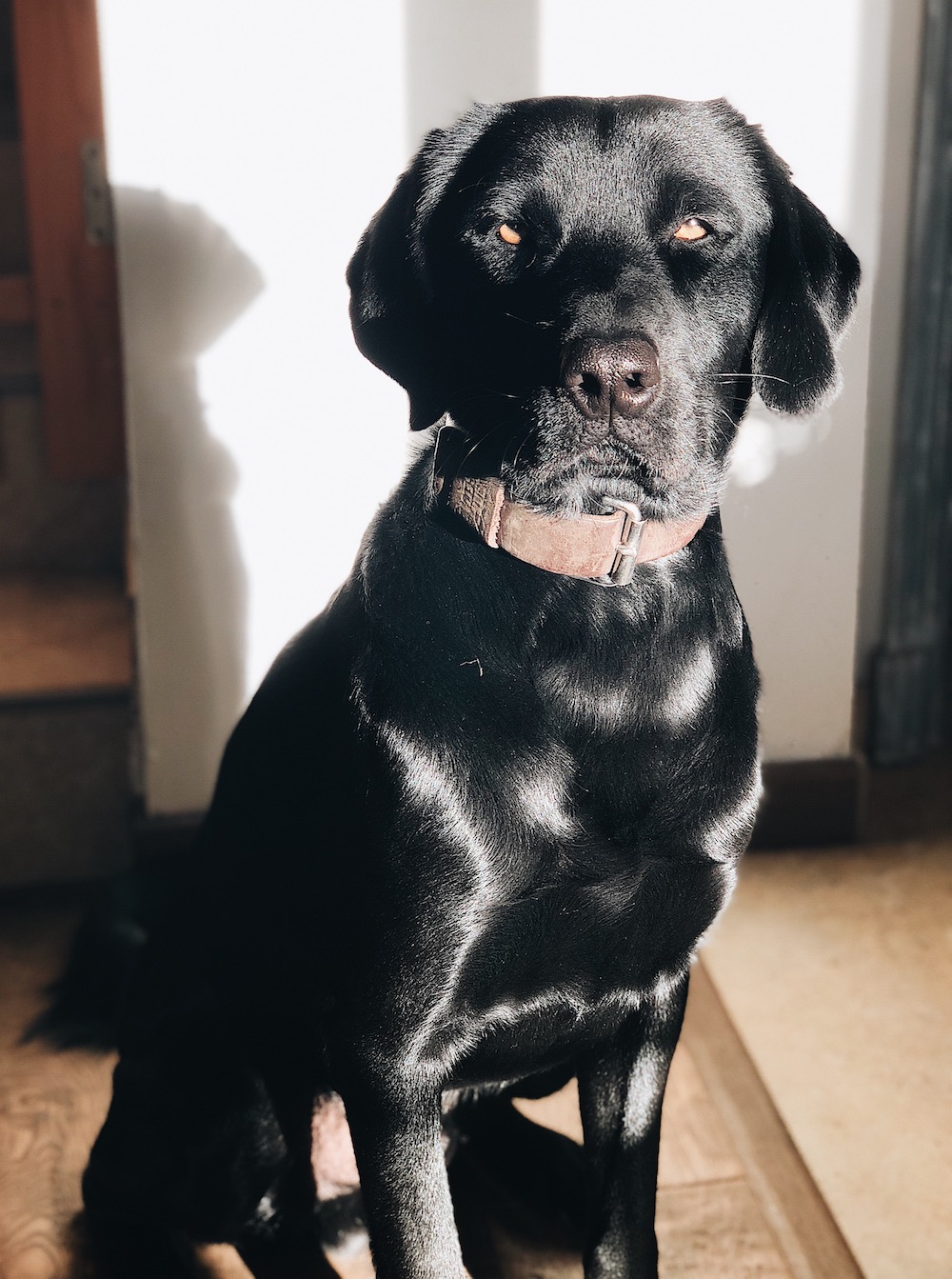 Bienvenue chez moi - Blog Mariage Madame C